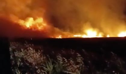 40 dekarlık bir buğday tarlası böyle yandı