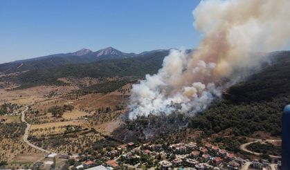 Son dakika! İzmir’de yangın