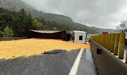 Adana'da ilginç kaza! Yol tahıl ile kaplandı