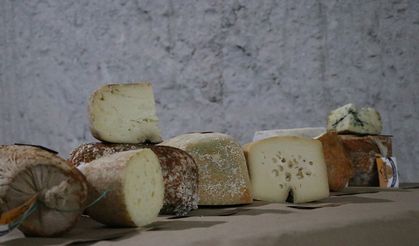 Kayadan oyma depolarda olgunlaştırılan peynirler