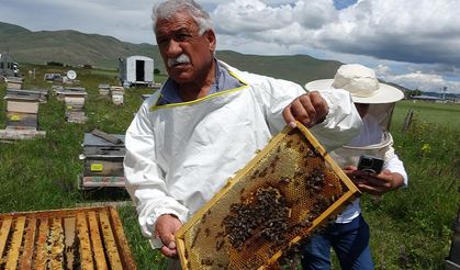 Ardahan Arıcılar Birliği'nden tüketicilere ucuz bal uyarısı!