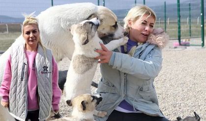 Buket Özgünlü'nün köpek vurgunu MASAK'a takıldı, sözde hayvan sever gözaltına alındı