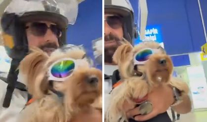 Köpeği ile markete alınmayan vatandaş isyan etti