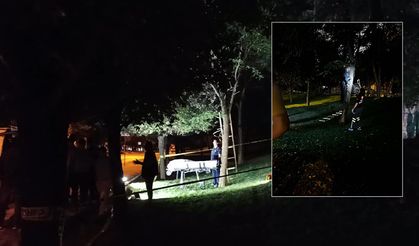 Ümraniye'de korkunç olay! Ağaçta asılı halde cansız bedeni bulundu
