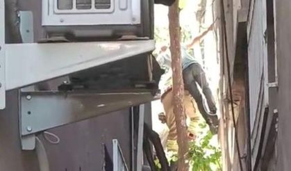 Ağaçta asılı kalan şahsın yardımına itfaiye koştu!