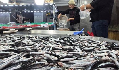 Karadeniz'de bollaştı, kilosu 50TL'ye düştü