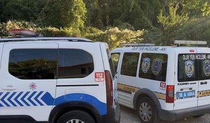 Uludağ’da kestane toplama kavgası silahlı çatışmaya dönüştü