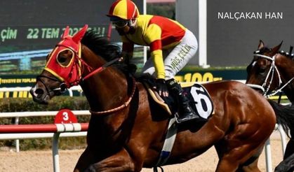 Tüyosu olan kazanır! 22 Kasım at yarışı tahminleri