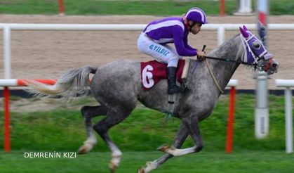 Tüyosu olan kazanır! 9 Kasım at yarışı tahminleri