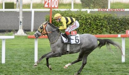 Tüyosu olan kazanır! 8 Kasım at yarışı tahminleri