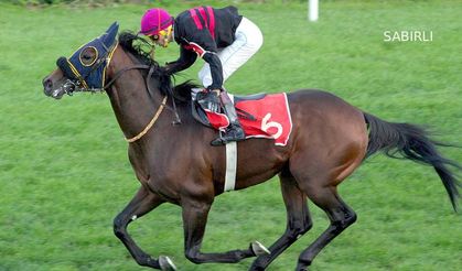 Tüyosu olan kazanır! 28 Kasım at yarışı tahminleri