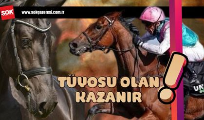 Tüyosu olan kazanır! 22 Aralık at yarışı tahminleri