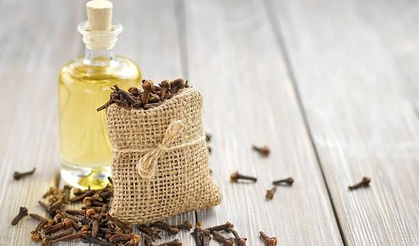 Doğal mucize: Karanfil yağı hakkında bilmeniz gerekenler