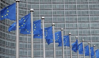 Yeşil pasaportlu Türk Vatandaşlarından vize istenecek mi? AB'den açıklama geldi