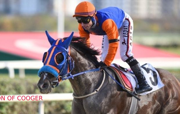 Tüyosu olan kazanır! 11 Aralık at yarışı tahminleri