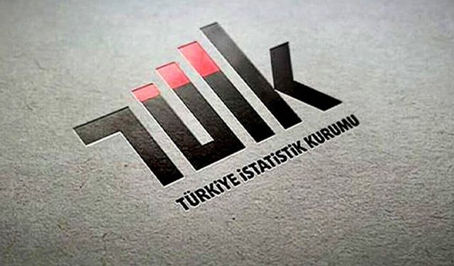 TÜİK açıkladı: Evden hırsızlıkta en çok ne çalınıyor?