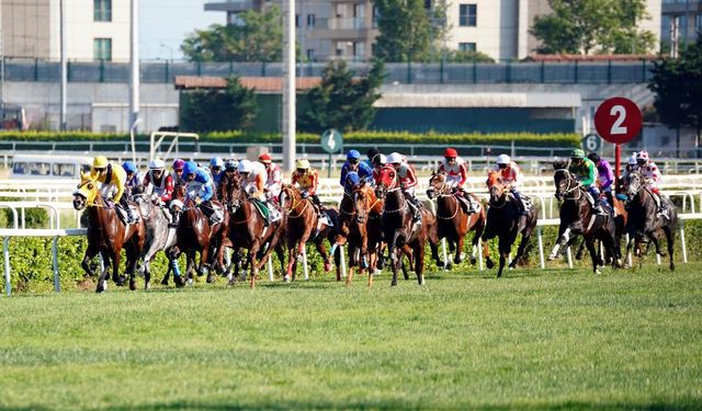 Tüyosu olan kazanır! 22 Kasım at yarışı tahminleri