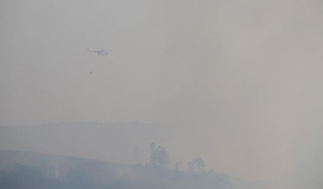 Beykoz yangını söndürüldü