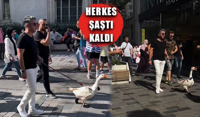 İstiklal Caddesi'nde Ardahanlı 'Kaz'ı gezdirdi!