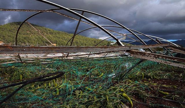 TARSİM doğal afetlerden etkilenen çiftçilere kalkan oluyor