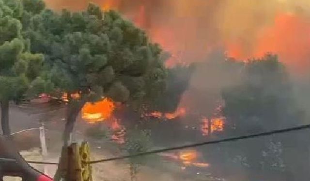 Maltepe'deki orman yangınıyla ilgili flaş gelişme