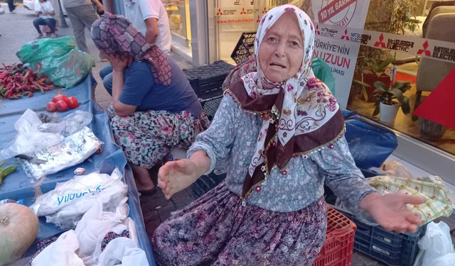 85 yaşındaki Müşerref Nine pazarcılara taş çıkarıyor