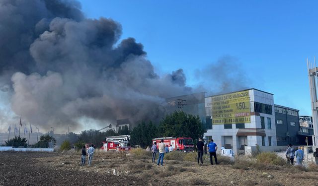 Silivri'deki yangın sonunda söndürüldü