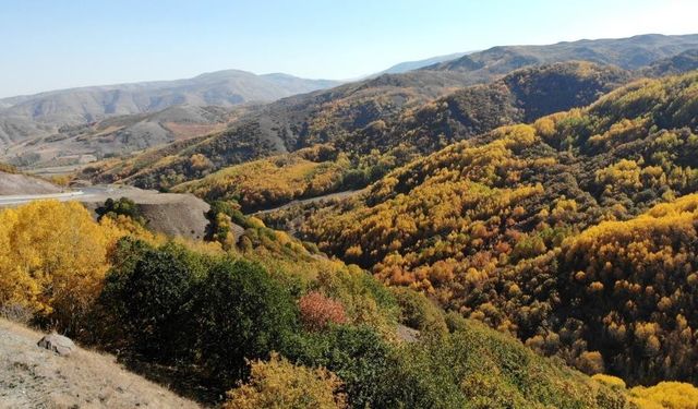 Erzincan, sonbaharda kıskandırdı