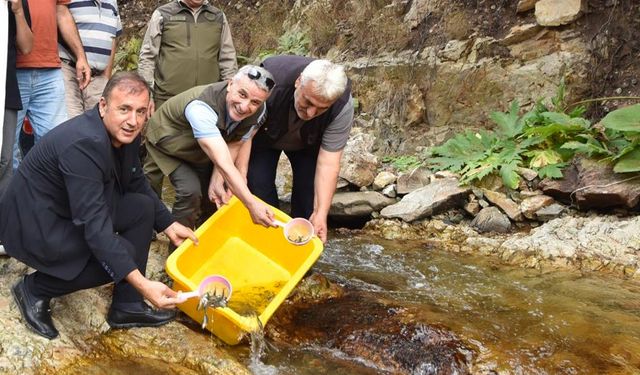 Trabzon, ‘alabalık da yetiştirecek