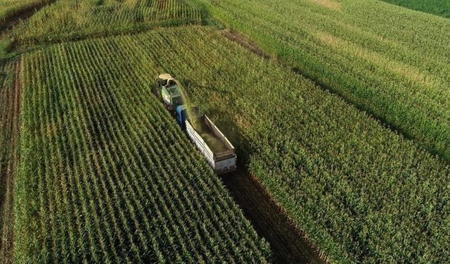 Çiftçilere 11,2 milyar liralık destek kartlara tanımlandı