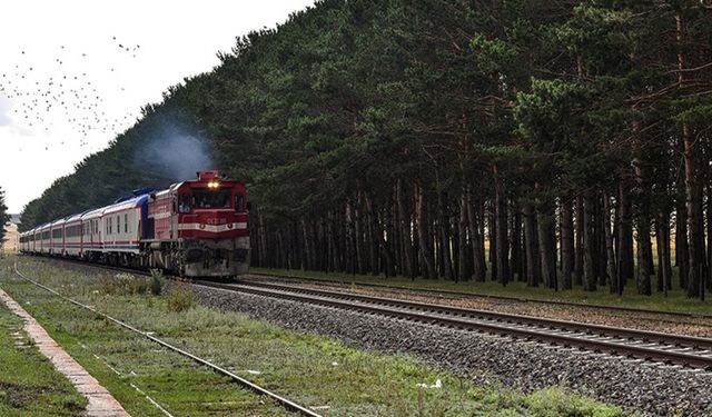 167 yıllık gurur tablosu