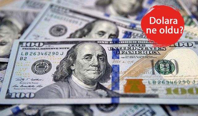 Dolar, Google'da 24 TL'ye düştü!