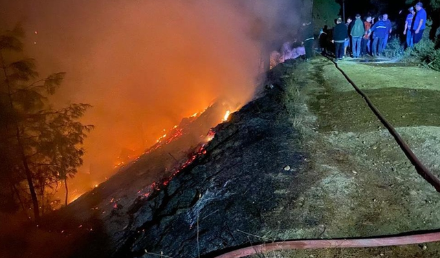 Muğla’da yangında yarım hektar orman zarar gördü