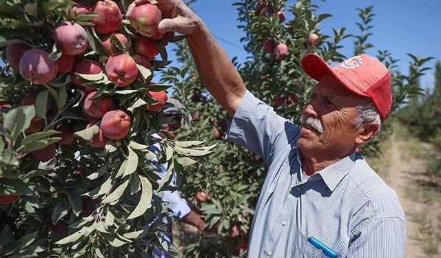 Kayseri’nin Yahyalı’sında üretiyor, dünyaya yediriyorlar