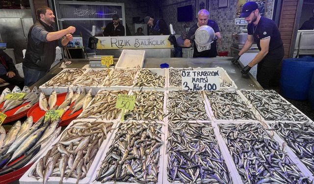 Trabzon’da 3 kilo hamsi 100 TL’ye satılıyor