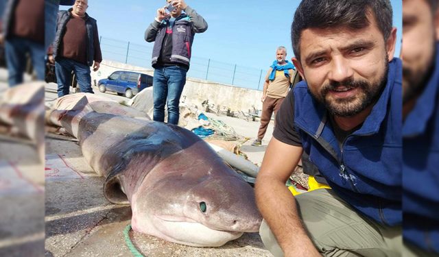 Marmara’dan canavar çıktı!