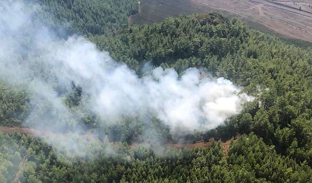 Muğla Köyceğiz’de 5 dönüm orman zarar gördü