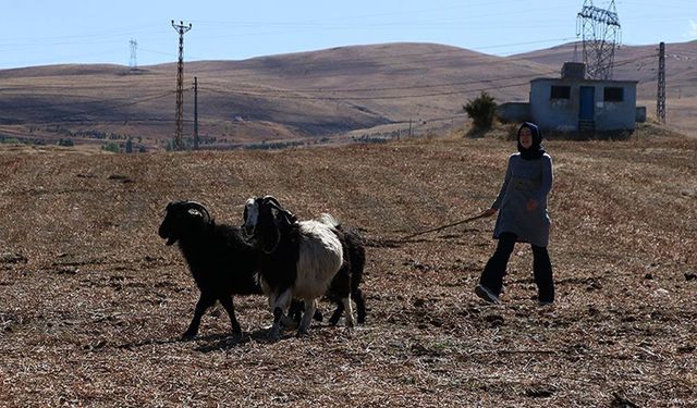 Şehirden indi köye başladı uzman eller projesine