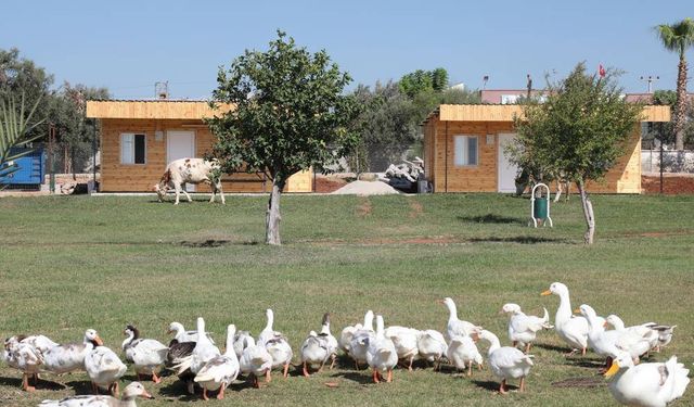 İlgi çok büyük! Mersin’in ‘Mutlu Yaşam Köyü’ kapasitesini artırdı