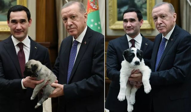 Erdoğan ile Berdimuhammedov arasında gülümseten anlar!