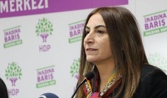 HDP'li Aysel Tuğluk'a gözaltı