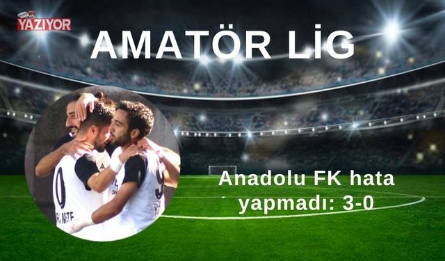 Anadolu FK hata yapmadı: 3-0