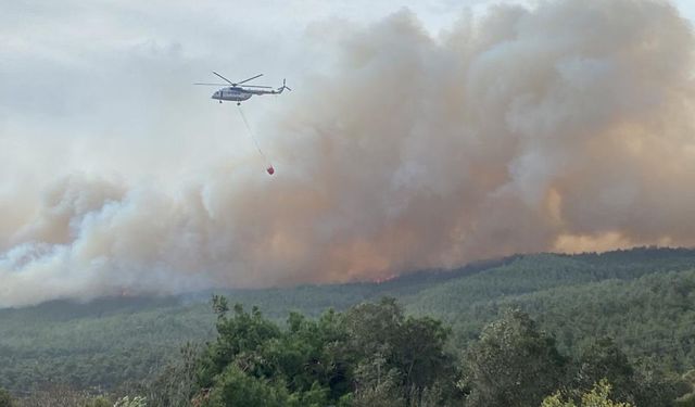 Çanakkale'de orman yangını! Sağanak yağış hızır gibi yetişti