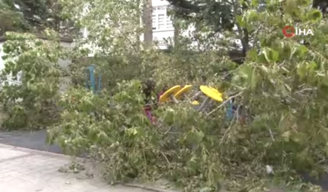 Avcılar’da çocukların üzerine ağaç düştü