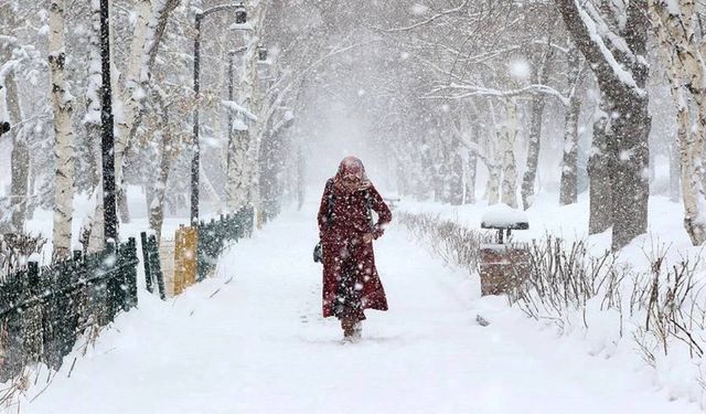 İstanbul’a kar geliyor! Ne zaman yağacak?