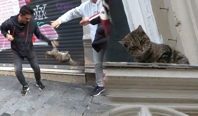 İstiklal Caddesi'nde filmleri aratmayan kedi operasyonu