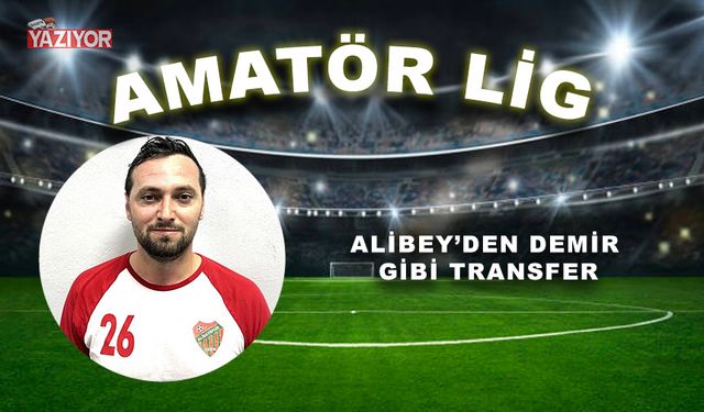 Alibey’den Demir gibi transfer