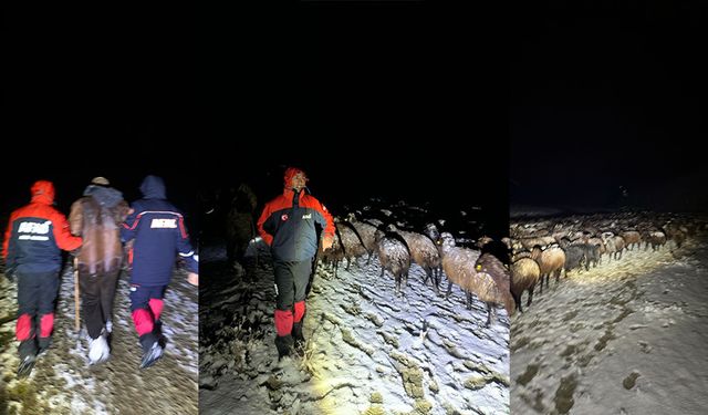 Ağrı'dan sevindirici haber! Kaybolan koyunlar ve çoban bulundu!