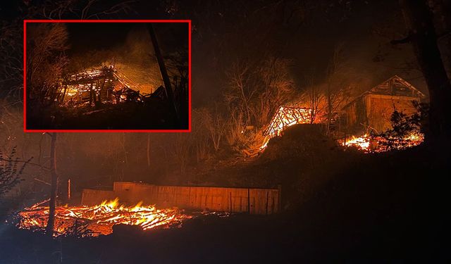 Sinop'da korkutan yangın! Evler küle döndü