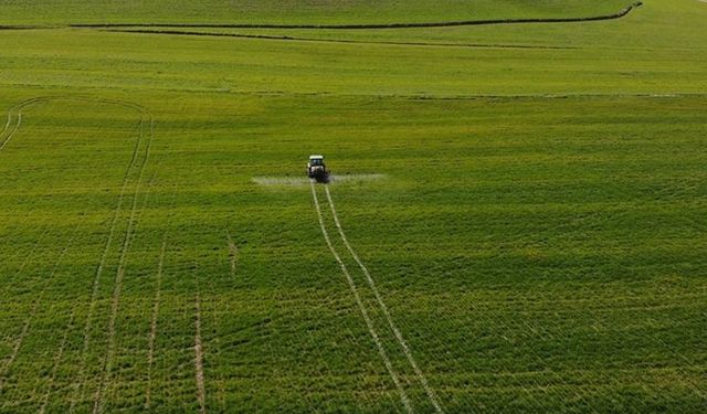 Tarım ÜFE ekimde aylık yüzde 1,13 azalırken yıllık yüzde 62,56 arttı